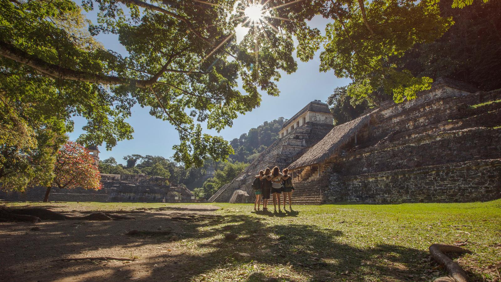 Mayan Discovery