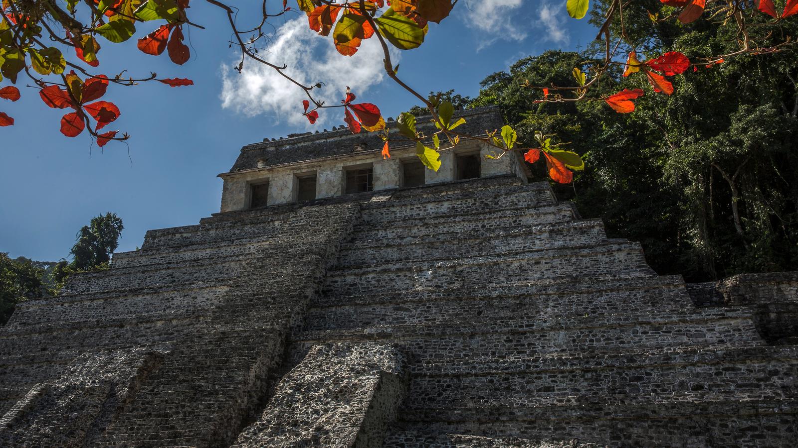 Mayan Trail