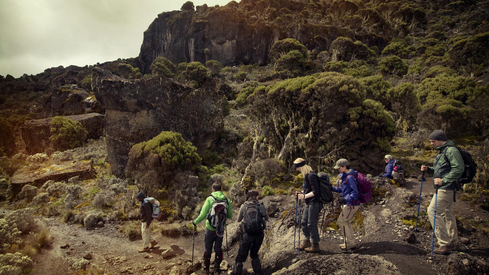 Mt Kilimanjaro Trek - Machame Route (8 Days)