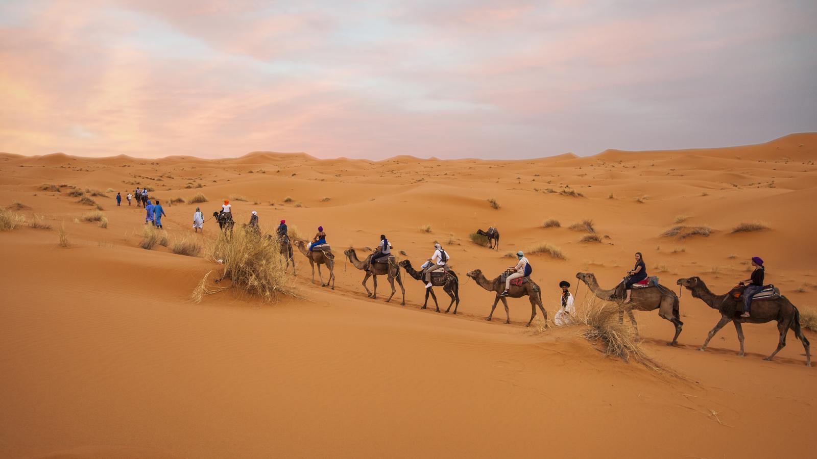 Moroccan Desert Adventure: River Canyons & Camels