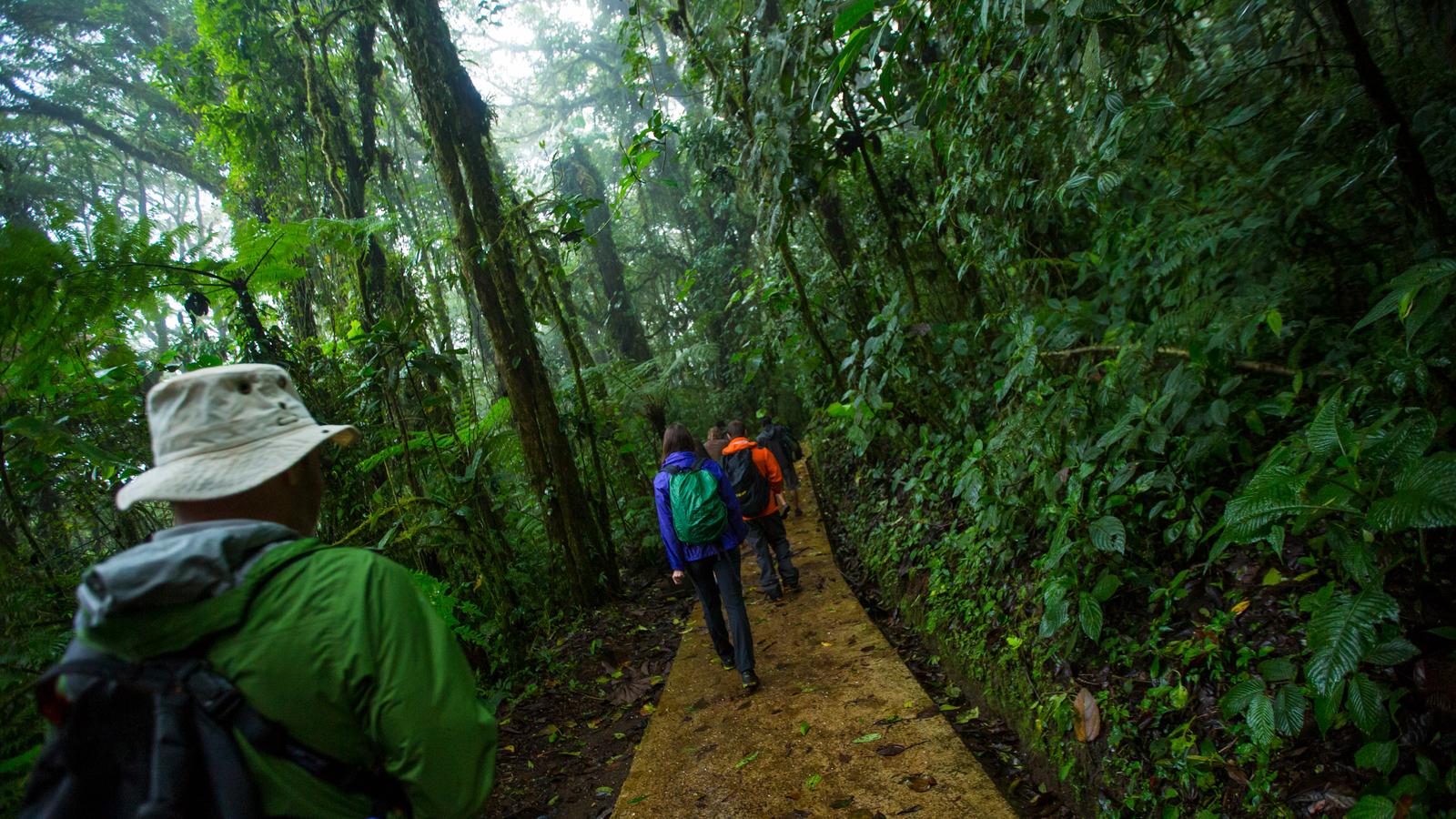 Costa Rica: Monteverde and La Fortuna